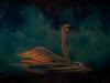 Swans