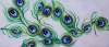 Peacock (version two)
